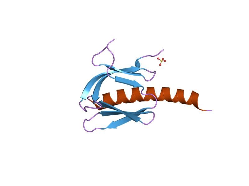 File:PDB 1unr EBI.jpg