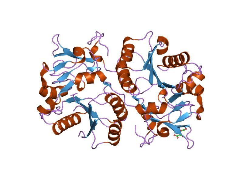 File:PDB 1v82 EBI.jpg