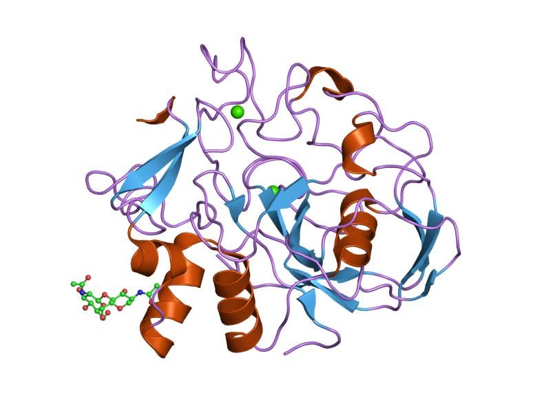 File:PDB 2aft EBI.jpg