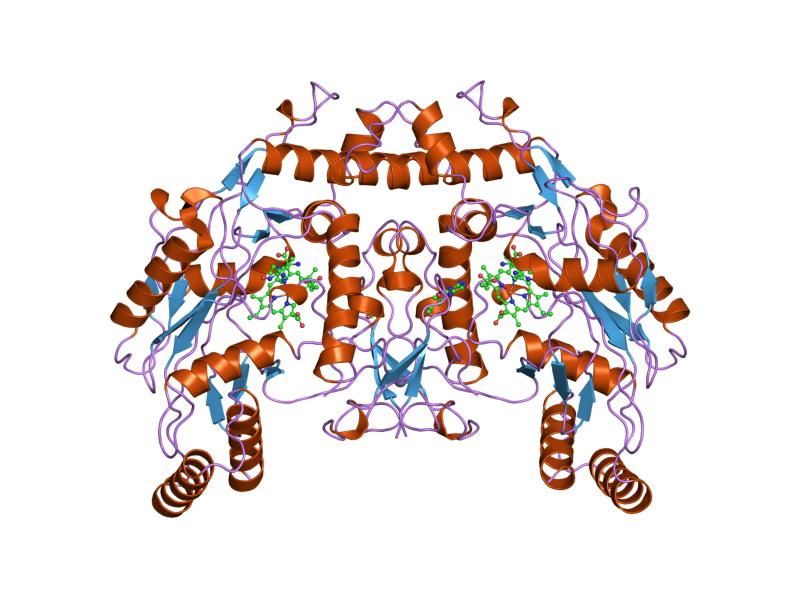 File:PDB 3nos EBI.jpg