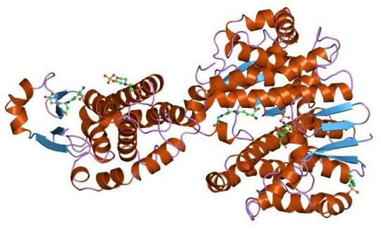 File:PDB 8gss EBI.jpg