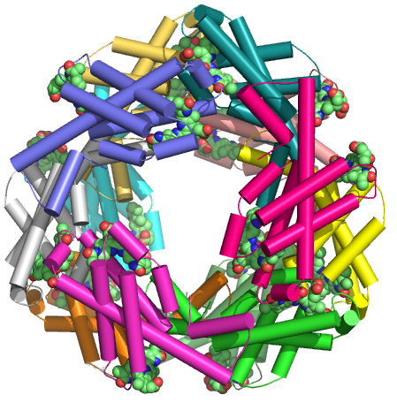 File:Phycocyanin assembly.png