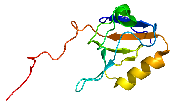 File:Protein PDZK1 PDB 2EEI.png