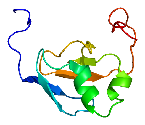 File:Protein TARS PDB 1wwt.png