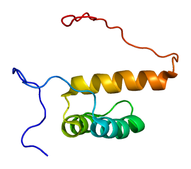 File:Protein ZHX2 PDB 2dmp.png