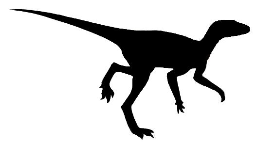 File:Saltopus Silhouette.png