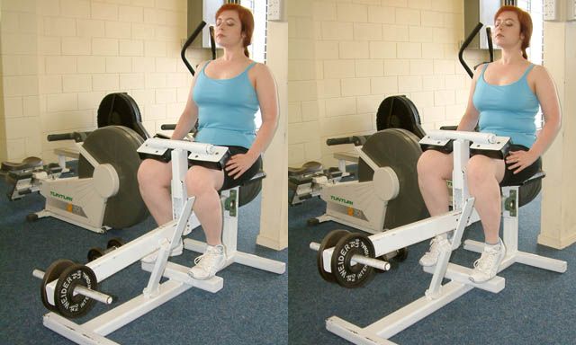 File:SeatedCalfRaiseMachineExercise.JPG