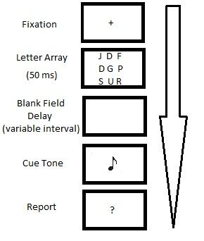 File:Sperling's Partial Report Paradigm.jpg