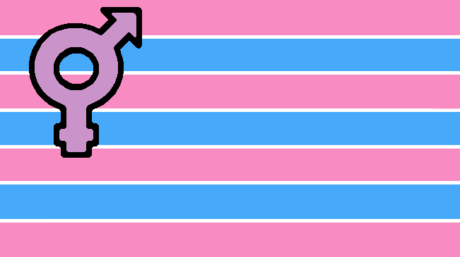 File:TransPrideFlagSF.png