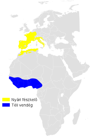 File:Hippolais polyglotta distribution map.png