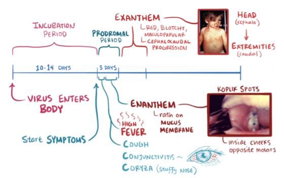 Image 8 of measles video