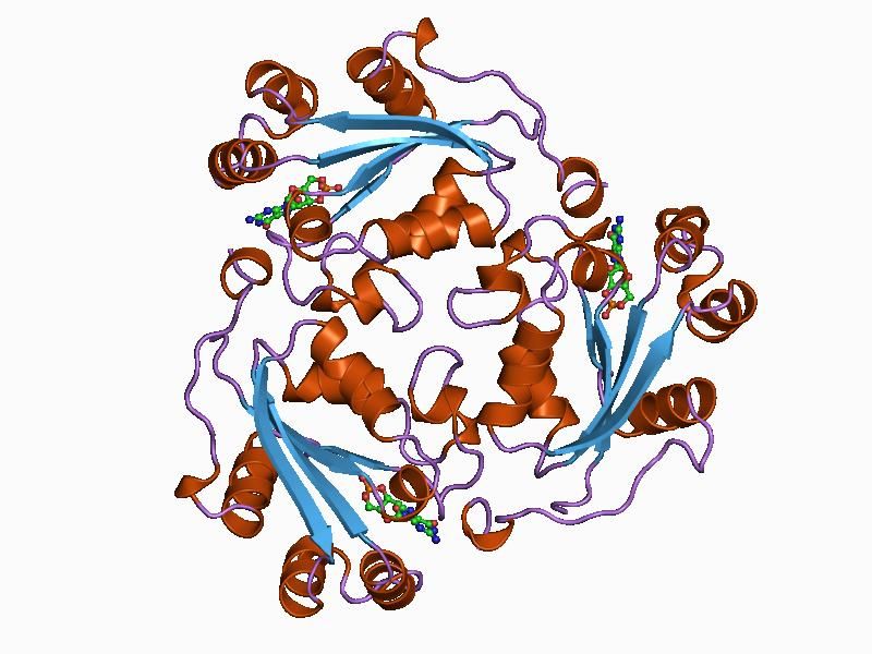 File:PDB 1be4 EBI.jpg