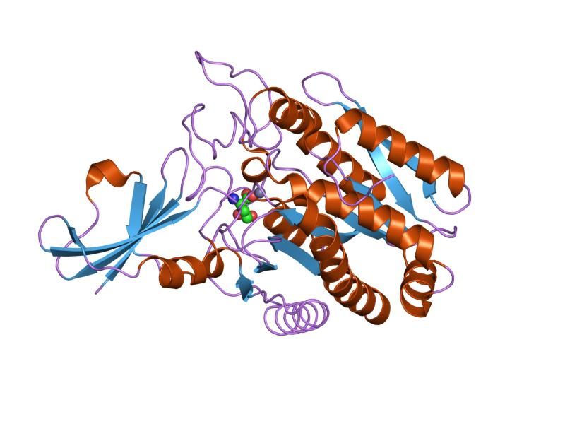 File:PDB 1dtd EBI.jpg