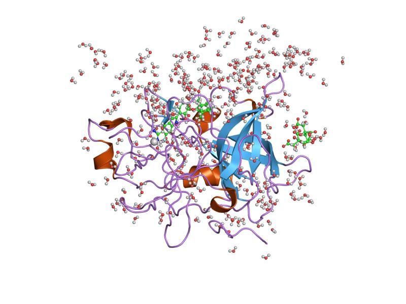 File:PDB 1gj9 EBI.jpg