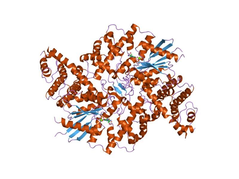 File:PDB 1shz EBI.jpg