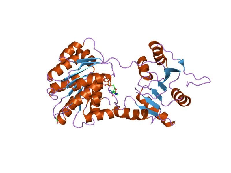 File:PDB 1xtj EBI.jpg