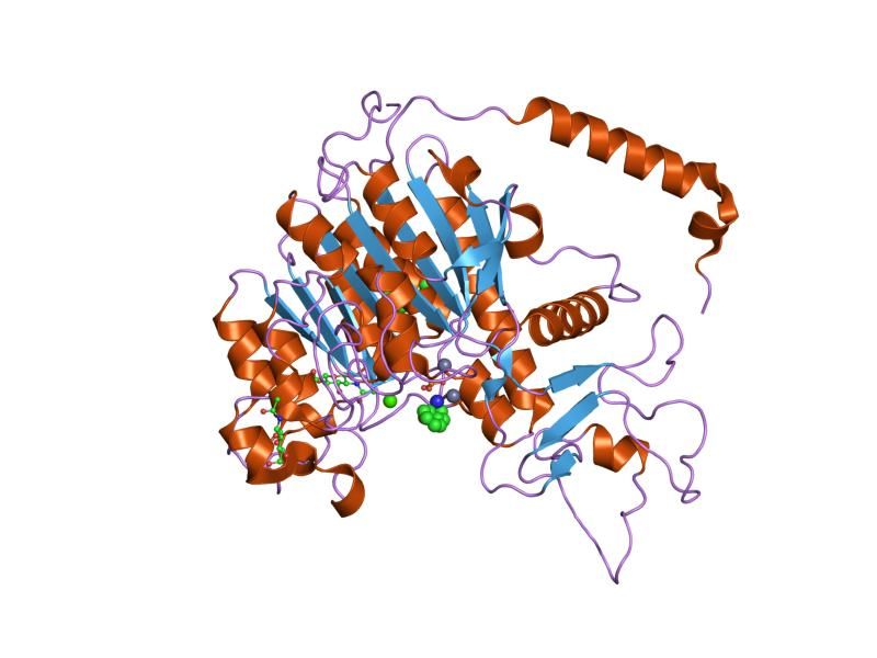 File:PDB 1zef EBI.jpg