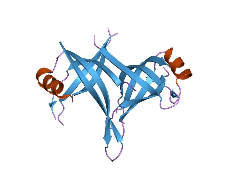 File:PDB 2dud EBI.jpg