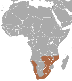 File:Reddish-gray Musk Shrew area.png