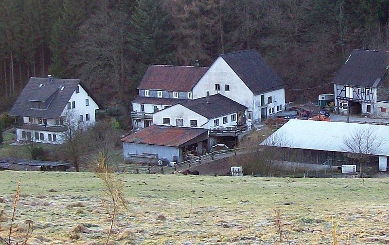 File:Rotbusch (Schmallenberg).jpg