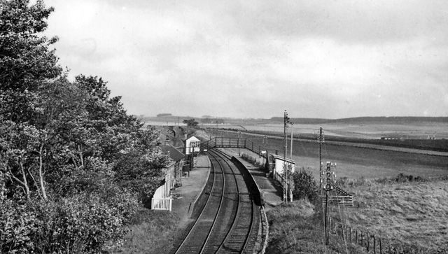 File:Brucklay railway station 1925846 136e2be1.jpg