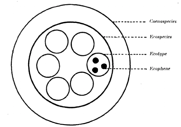 File:Cenospecies.png