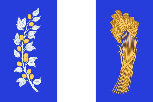 File:Flag of Bichursky rayon (Buryatia).png