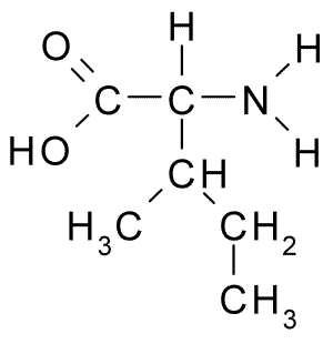 File:L-Isoleucine.png