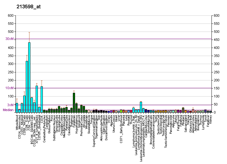 File:PBB GE KIF2A 213598 at fs.png