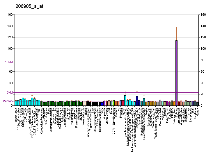 File:PBB GE MATN1 206905 s at fs.png