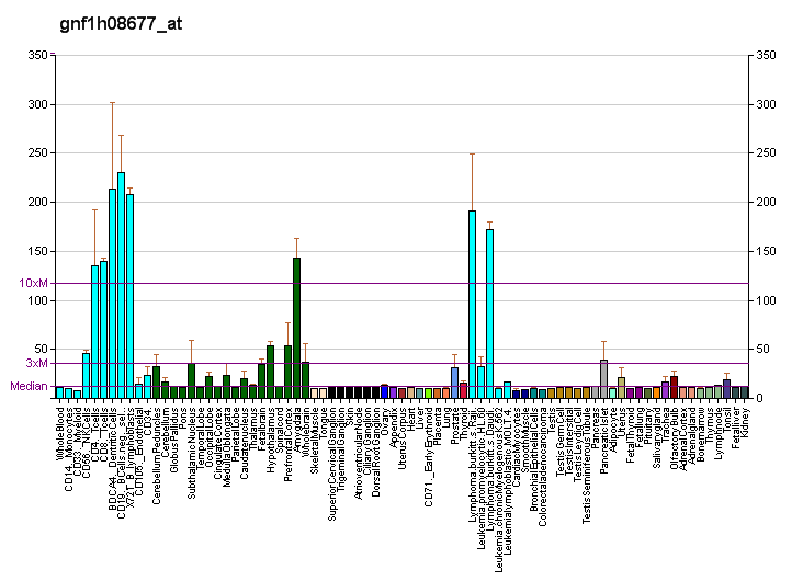 File:PBB GE PPM1K gnf1h08677 at fs.png