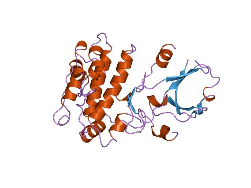 File:PDB 1a06 EBI.jpg