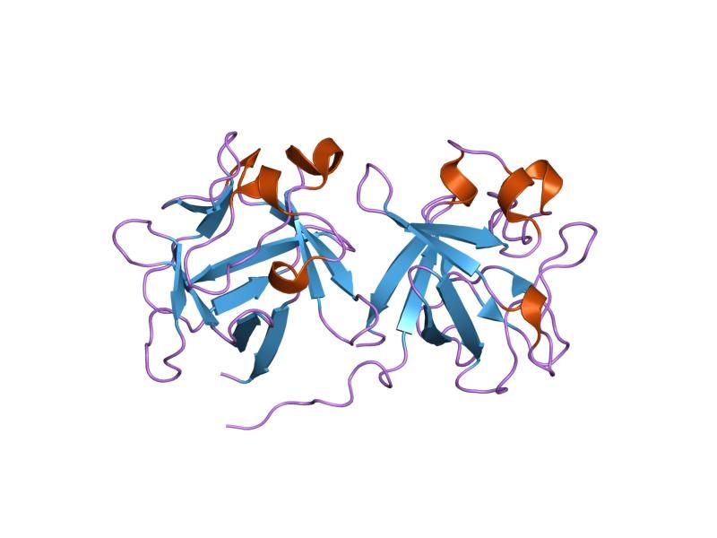 File:PDB 1bar EBI.jpg