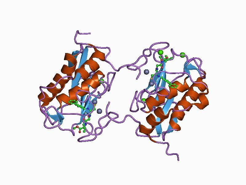 File:PDB 1c8t EBI.jpg