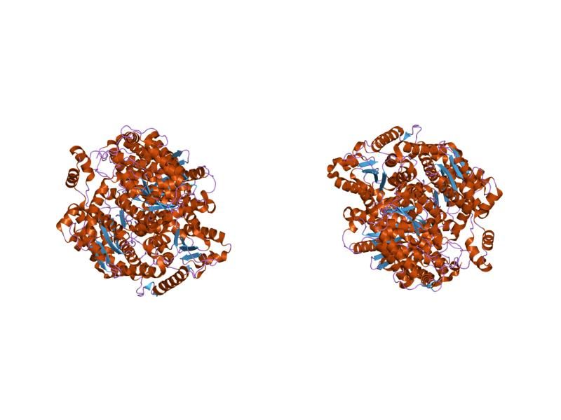 File:PDB 1jlh EBI.jpg