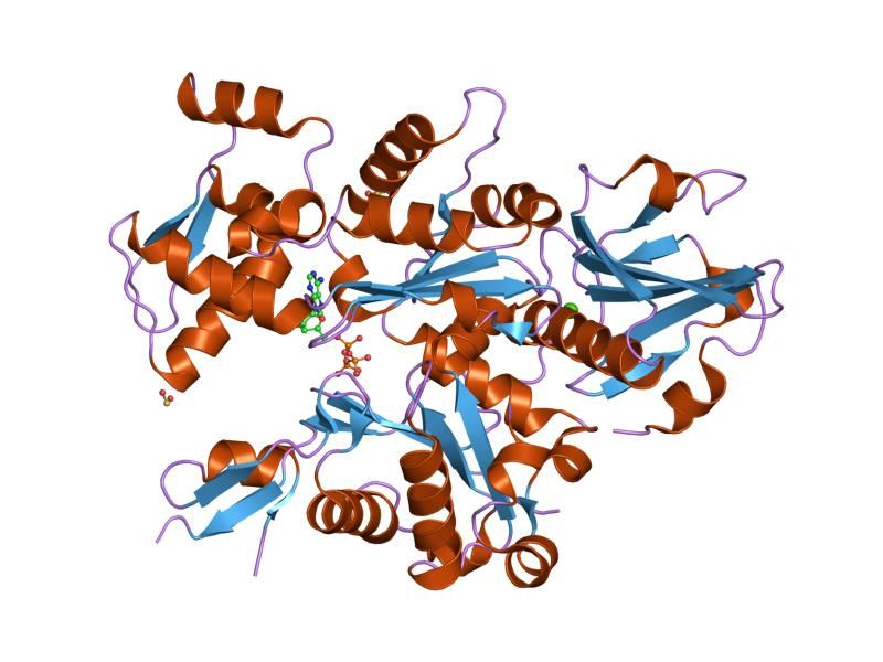 File:PDB 1nmd EBI.jpg