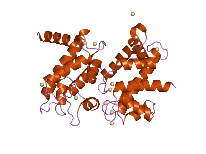 File:PDB 1np8 EBI.jpg