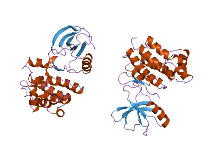 File:PDB 1snx EBI.jpg