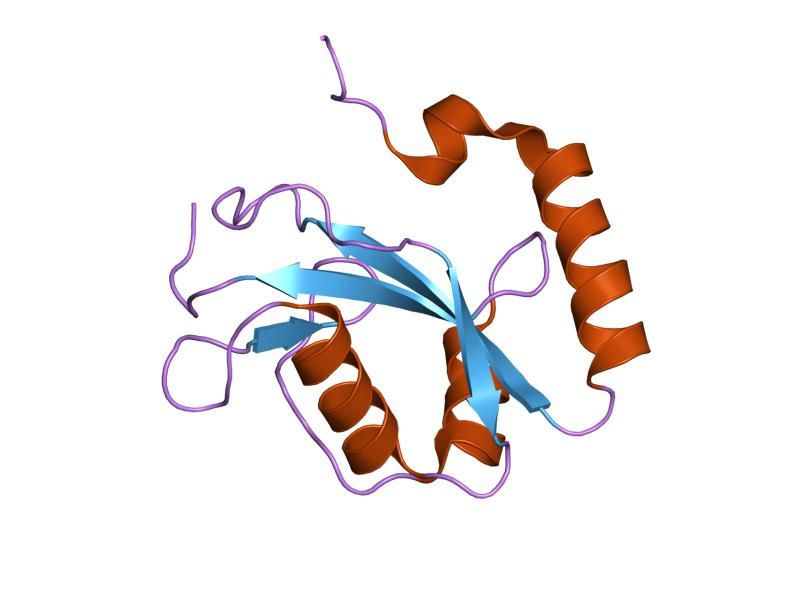 File:PDB 1v49 EBI.jpg