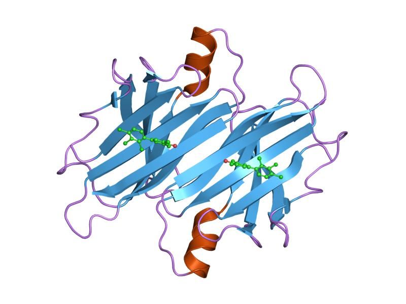 File:PDB 2g9k EBI.jpg