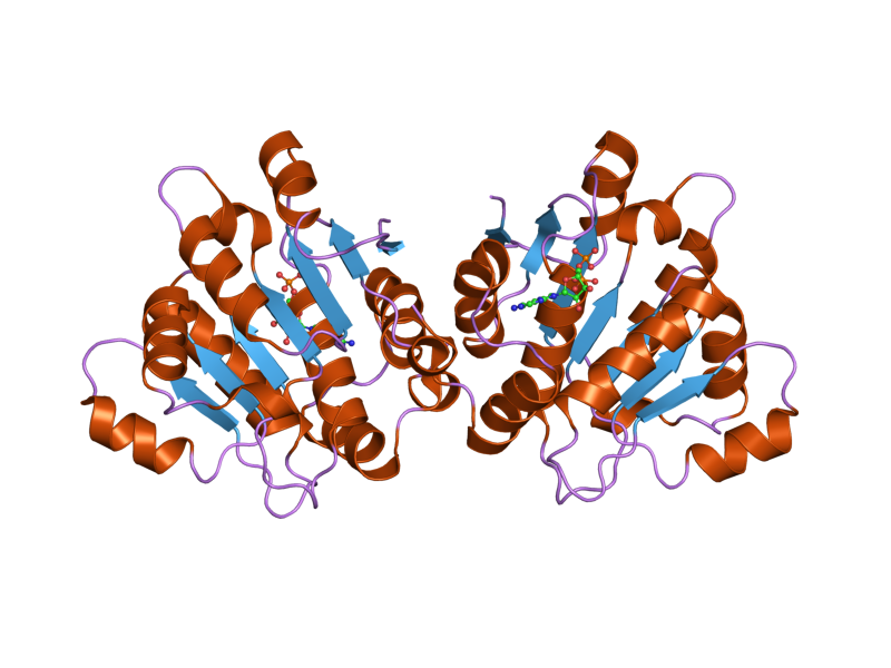 File:PDB 2oxc EBI.png