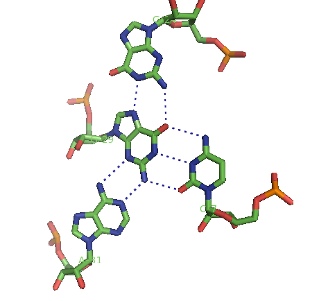 File:Quadruplex1 s.png