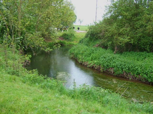 File:River Mease - geograph.org.uk - 428104.jpg