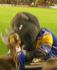 File:Ronnie the rhino.jpg