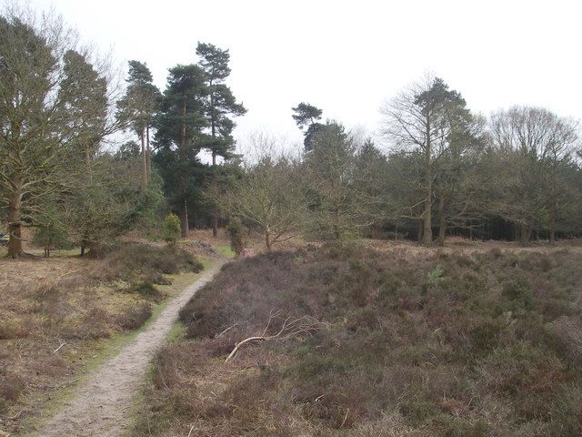 File:Blaxhall Heath - geograph.org.uk - 399415.jpg