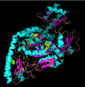 File:Histidinol Phosphate Transaminase.png