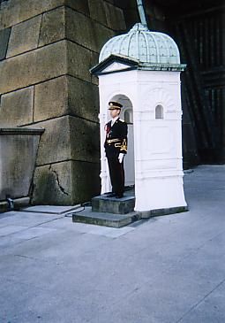 File:Imperial Guard sentry.jpg