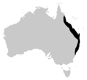 File:Litoria fallax range.PNG