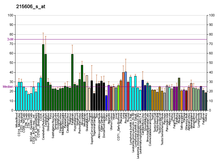 File:PBB GE ERC1 215606 s at fs.png