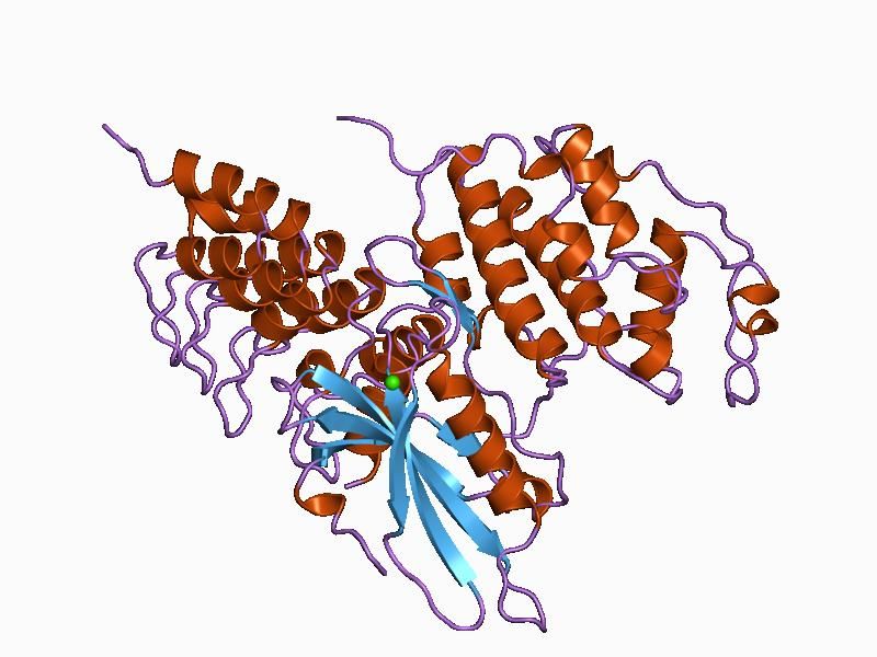 File:PDB 1blx EBI.jpg